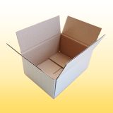 300 Karton 20 cm x 15 cm x 9 cm (BxTxH) wei�